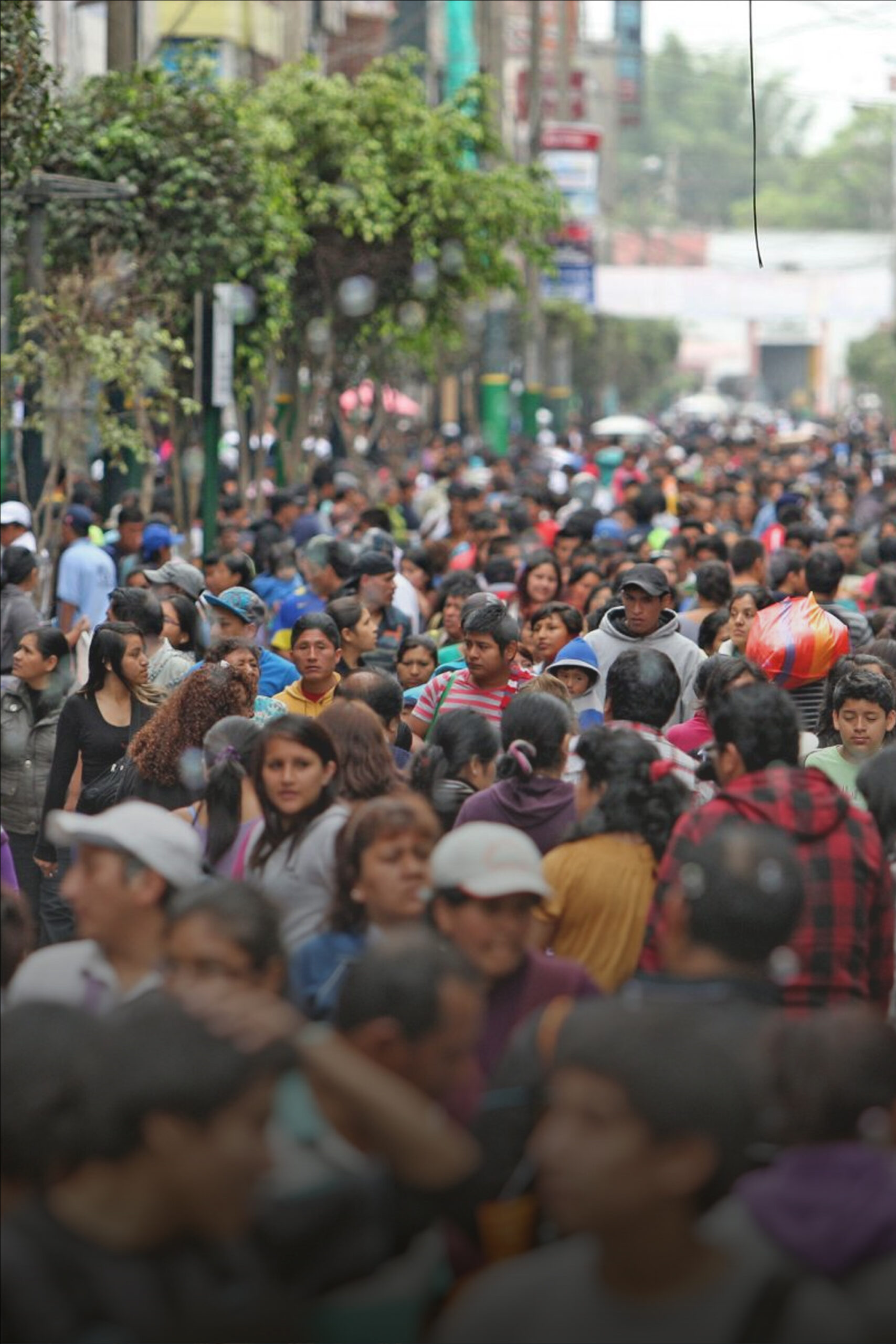 Informalidad más allá de lo laboral - Macroconsult